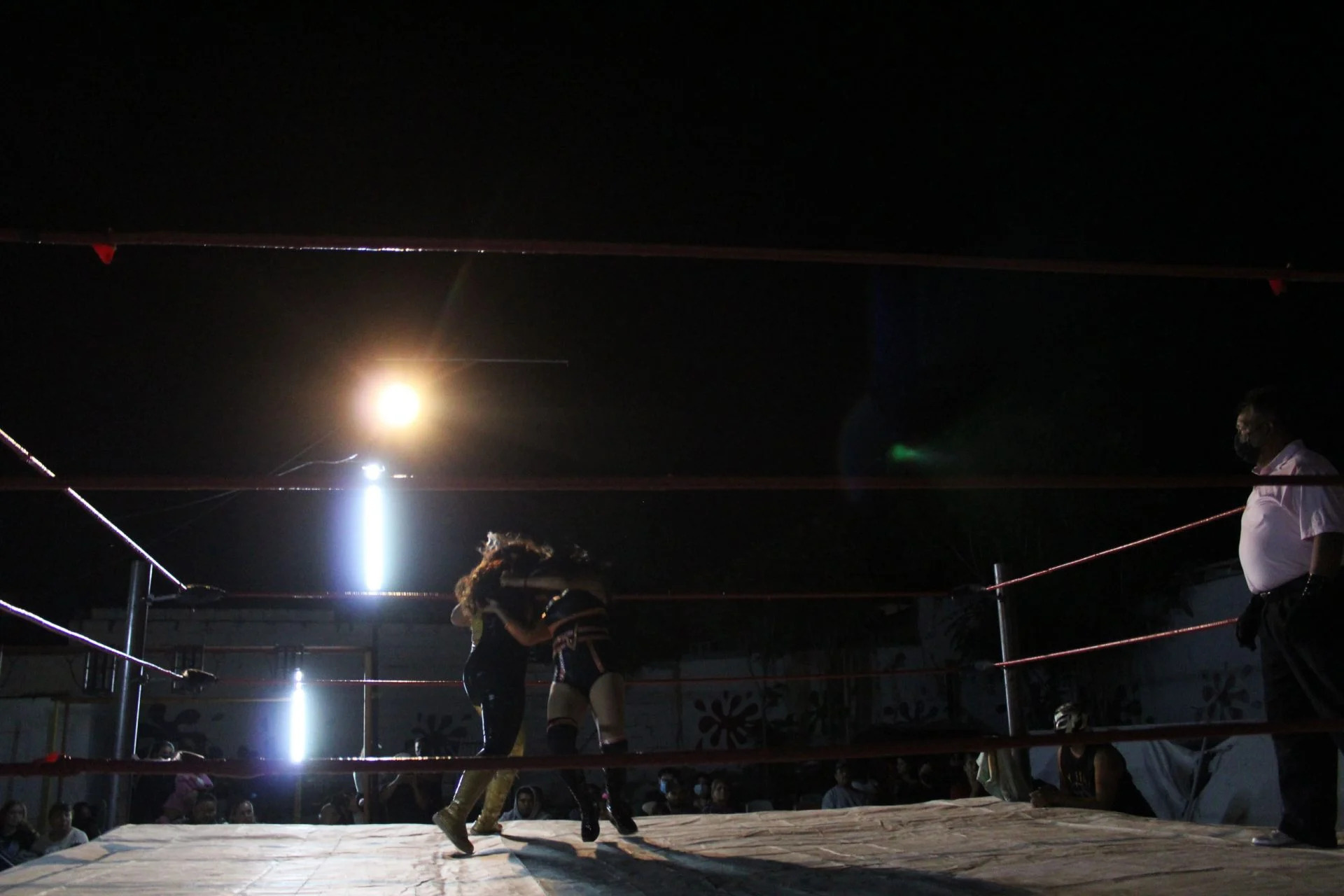 Mujeres En La Lucha Libre Por El Respeto En El Ring