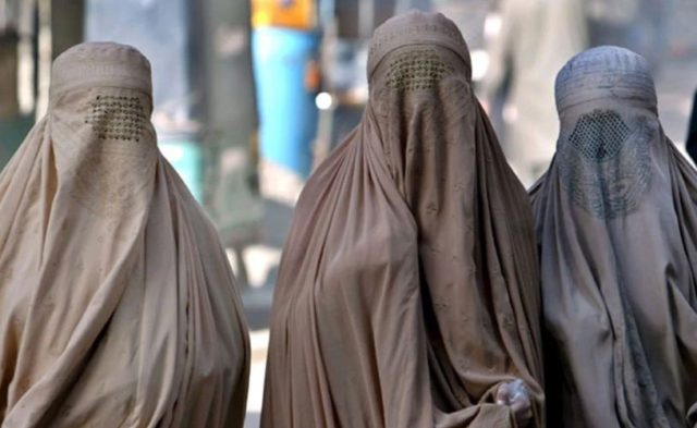 photo_2022-11-11 18.17.31