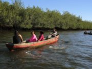 Conchar: la tradición de las mujeres en Nicaragua que está salvando a los manglares de su país