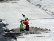 En enero, siete mujeres fueron asesinadas a diario en México