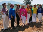 Las mujeres mezcaleras se abren paso en México