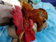 Que nadie te diga que ser científica no es trabajo de mujeres