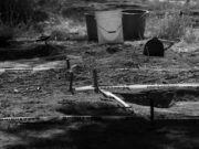 ONU-DH condena asesinato de Teresa, madre buscadora; pide proteger a su familia