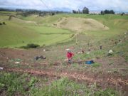 Mujeres y agricultura: el futuro de Latam