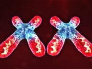 ¿Por qué las mujeres son más resistentes a los virus?