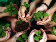 Un estudio contabiliza 81 mujeres asesinadas en el mundo por su activismo medioambiental