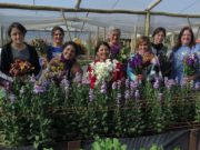 Una revolución de mujeres floricultoras para potenciar el desarrollo de un pueblo argentino