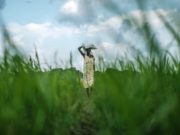 La tierra para las mujeres que la trabajan