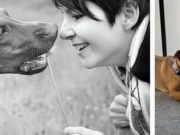 Perros muestran mayor sensibilidad cerebral cuando les hablan las mujeres