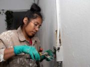 Las mujeres llevan retraso en todos los objetivos del milenio: ONU