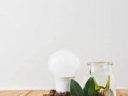 ONU apoya a las Cooperativas de ahorro y préstamo de México, para impulsar el empoderamiento de las Mujeres y el financiamiento sostenible