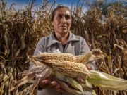 El empoderamiento de las mujeres rurales, un deber y una oportunidad