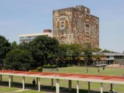 Mujeres egresadas de la UNAM se unen en contra de las barreras del mundo laboral