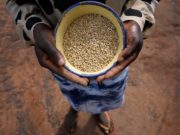 La nueva vacuna contra la malaria, mujeres que salvan selvas y otras noticias esperanzadoras para empezar 2024