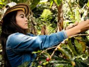 Lanzan un plan para acelerar la igualdad de género