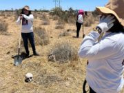 ONU reconoce tenacidad y amor de madres buscadoras en México