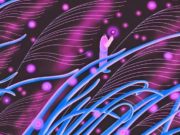 La felicidad también debe ejercitarse