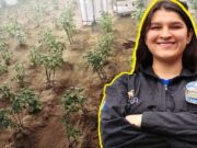Ivana Millán, la mexicana que quiere hacer posible la agricultura en Marte