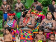 Los gobiernos y donantes nos deben escuchar a las mujeres y niñas indígenas para salvar el planeta